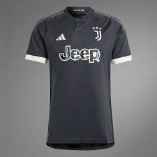 Youth Replica adidas Juventus Third Jersey 23/24