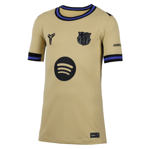 Youth Nike Replica Barcelona Away Jersey 2025/2026