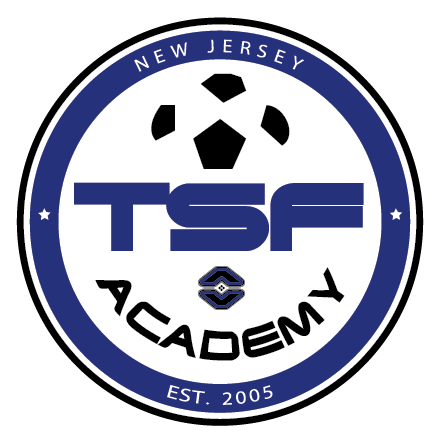 TSF Bumper Sticker